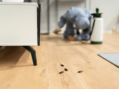 About Pest Logics - residential pest control experts in Longwood